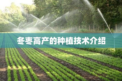 冬枣高产的种植技术介绍