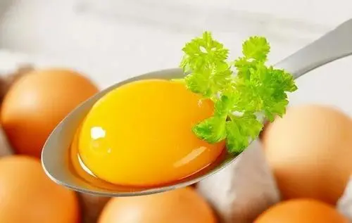 _饲料蛋与土鸡蛋怎么区分_饲料蛋与土鸡蛋哪个更有营养
