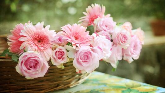 母亲生日送什么鲜花最好？这些花有好的寓意，送给母亲祝福