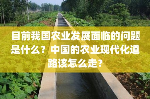 目前我国农业发展面临的问题是什么？中国的农业现代化道路该怎么走？
