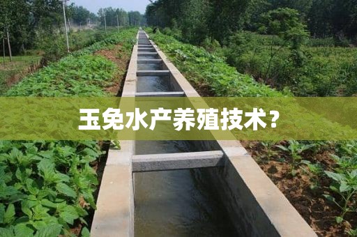 玉免水产养殖技术？