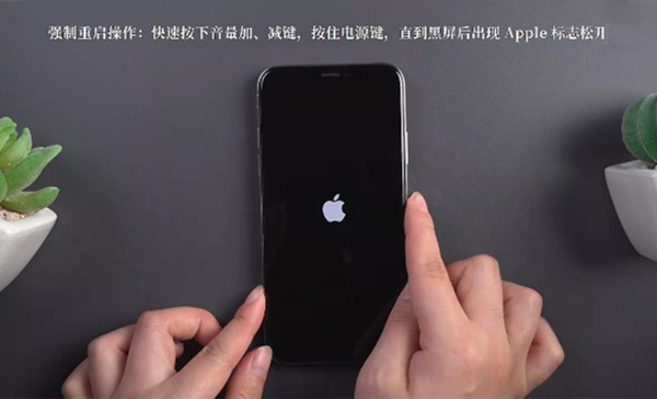 手机突然显示苹果开机界面__苹果手机开机就显示苹果标志