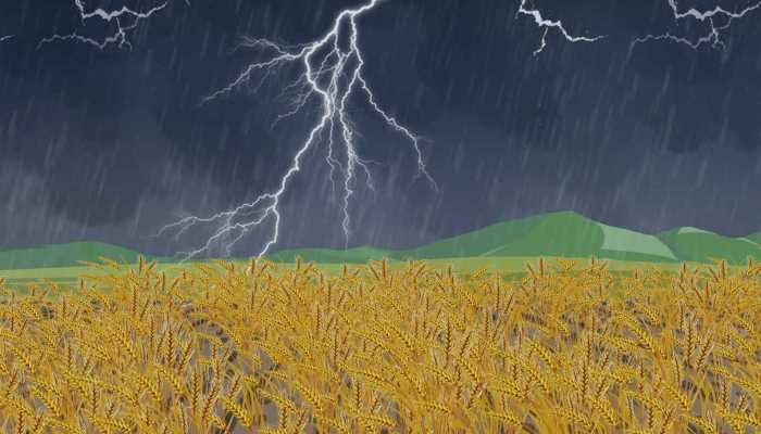 为什么下雨会打雷和闪电 下雨的时候为什么会打雷闪电