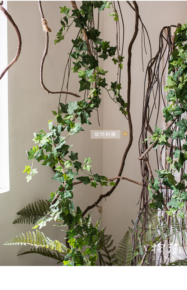 室内植物墙适合种哪些植物__室内植物墙的好处