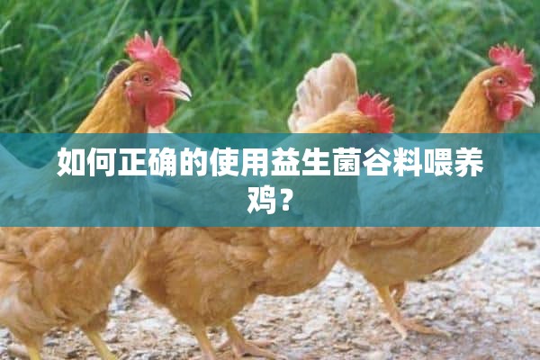 如何正确的使用益生菌谷料喂养鸡？