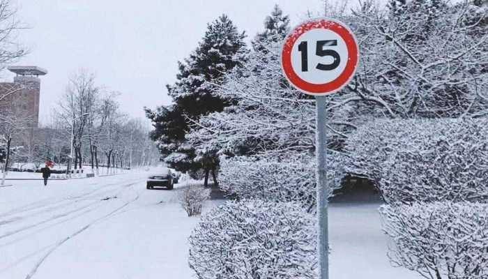 受降雪天气影响 山东威海部分高速临时封闭18条公交停运