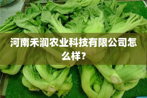 河南禾润农业科技有限公司怎么样？