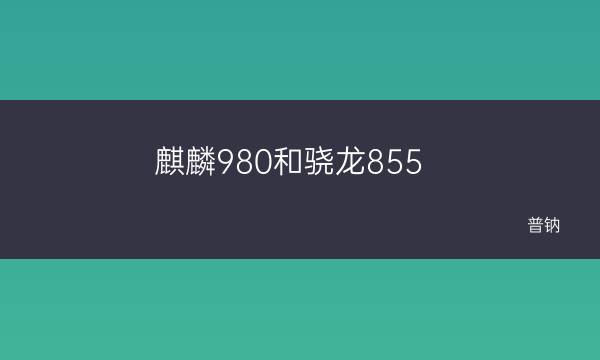 高晓通855和麒麟980比较(麒麟980和骁龙855)
