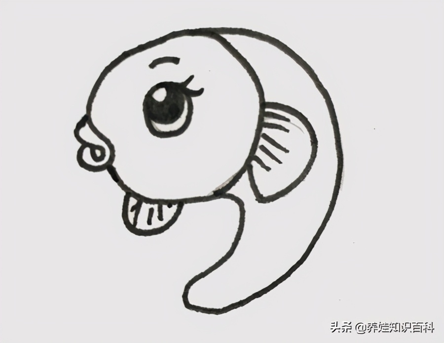 怎么画小鱼？喜欢小鱼的小朋友来学学，画出来的小鱼可爱又好看