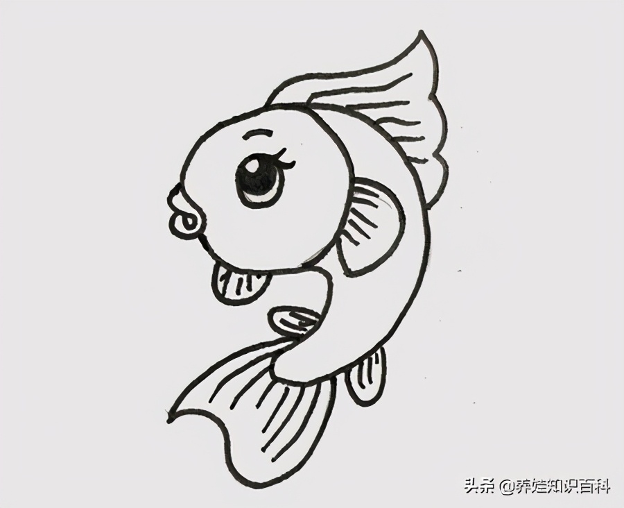 怎么画小鱼？喜欢小鱼的小朋友来学学，画出来的小鱼可爱又好看