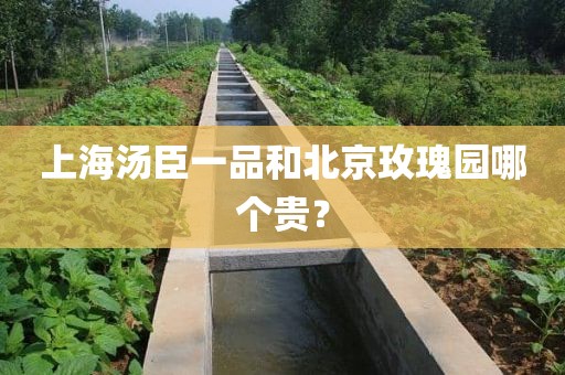 上海汤臣一品和北京玫瑰园哪个贵？