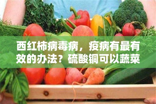 西红柿病毒病，疫病有最有效的办法？硫酸铜可以蔬菜叶面喷务吗？