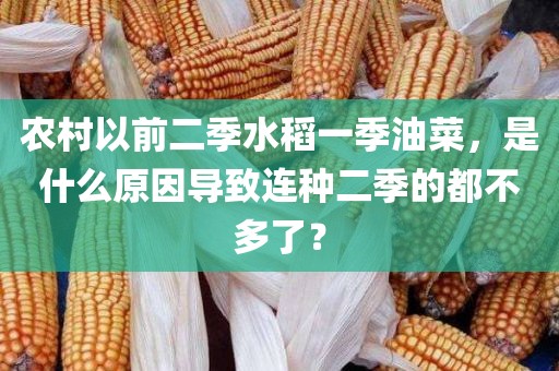 农村以前二季水稻一季油菜，是什么原因导致连种二季的都不多了？