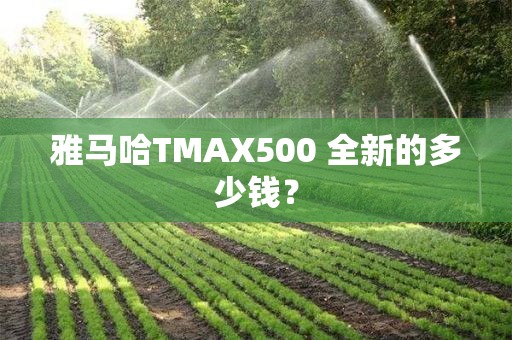 雅马哈TMAX500 全新的多少钱？