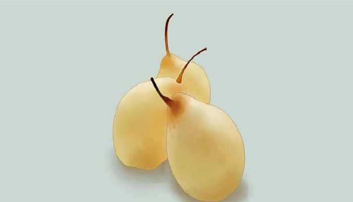 冻梨用什么品种的梨 哪些梨品种最适合做冻梨
