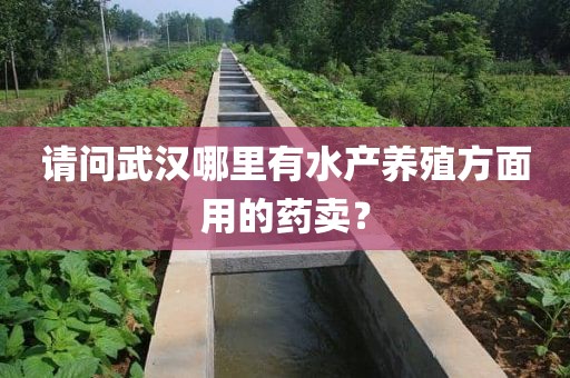 请问武汉哪里有水产养殖方面用的药卖？