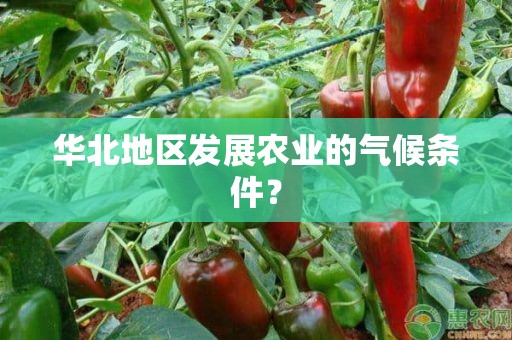 华北地区发展农业的气候条件？