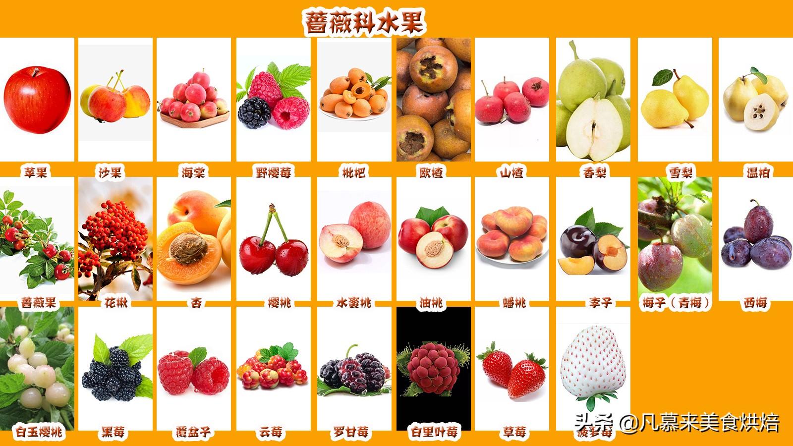 水果分类(水果分类有哪些?)