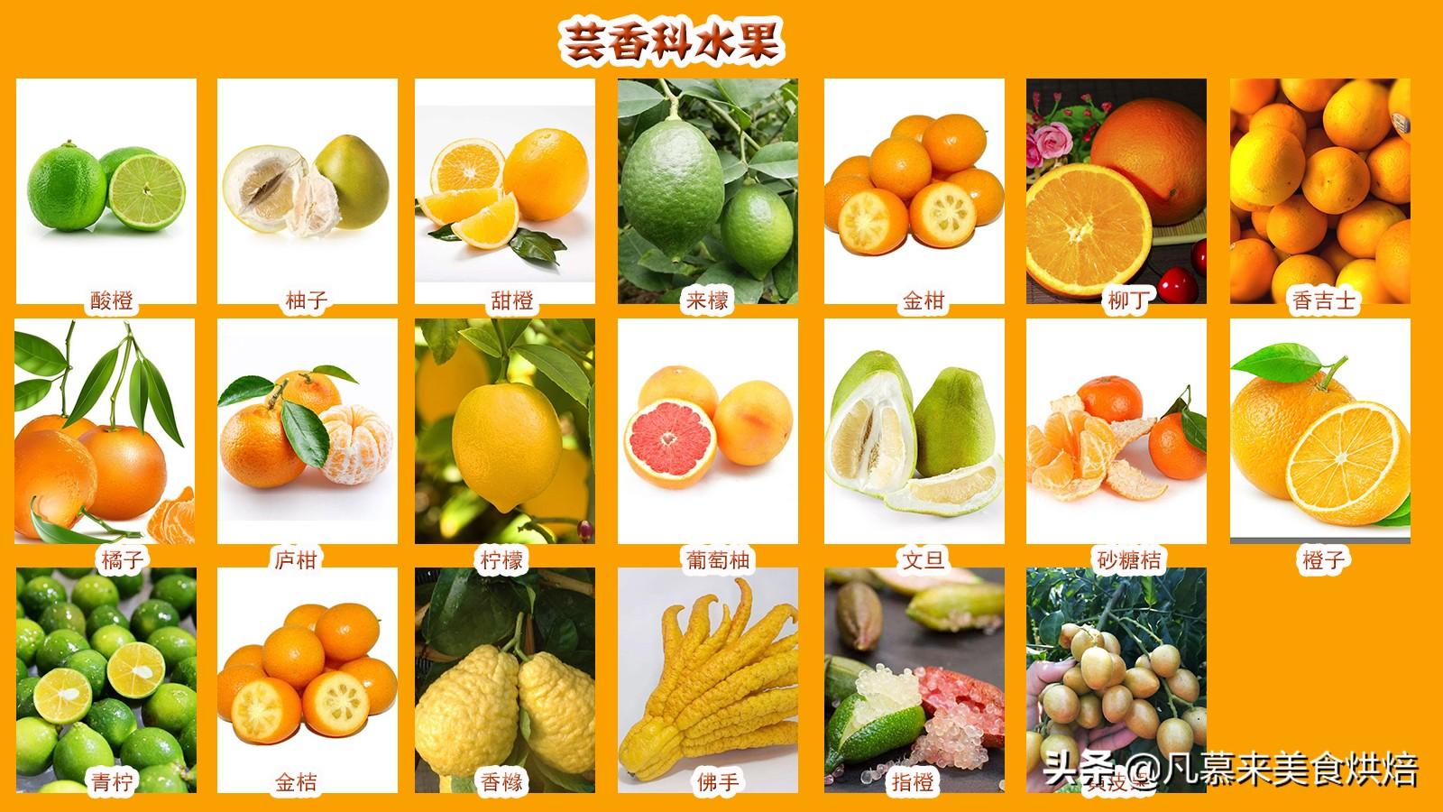 水果分类(水果分类有哪些?)