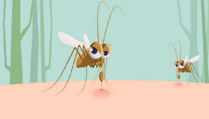 房间里放什么可以驱蚊 卧室驱蚊子最有效的方法