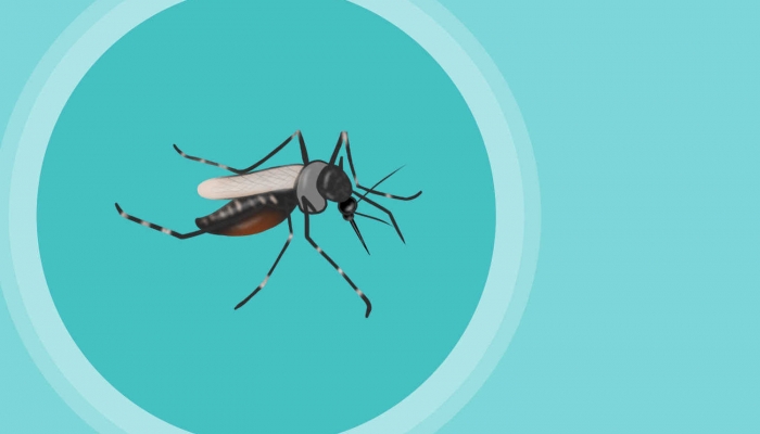 蚊子有毒吗 蚊子的毒性有多大