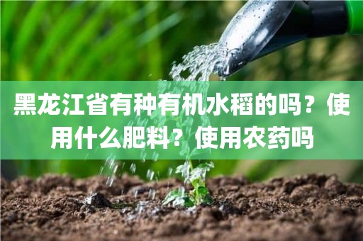 黑龙江省有种有机水稻的吗？使用什么肥料？使用农药吗