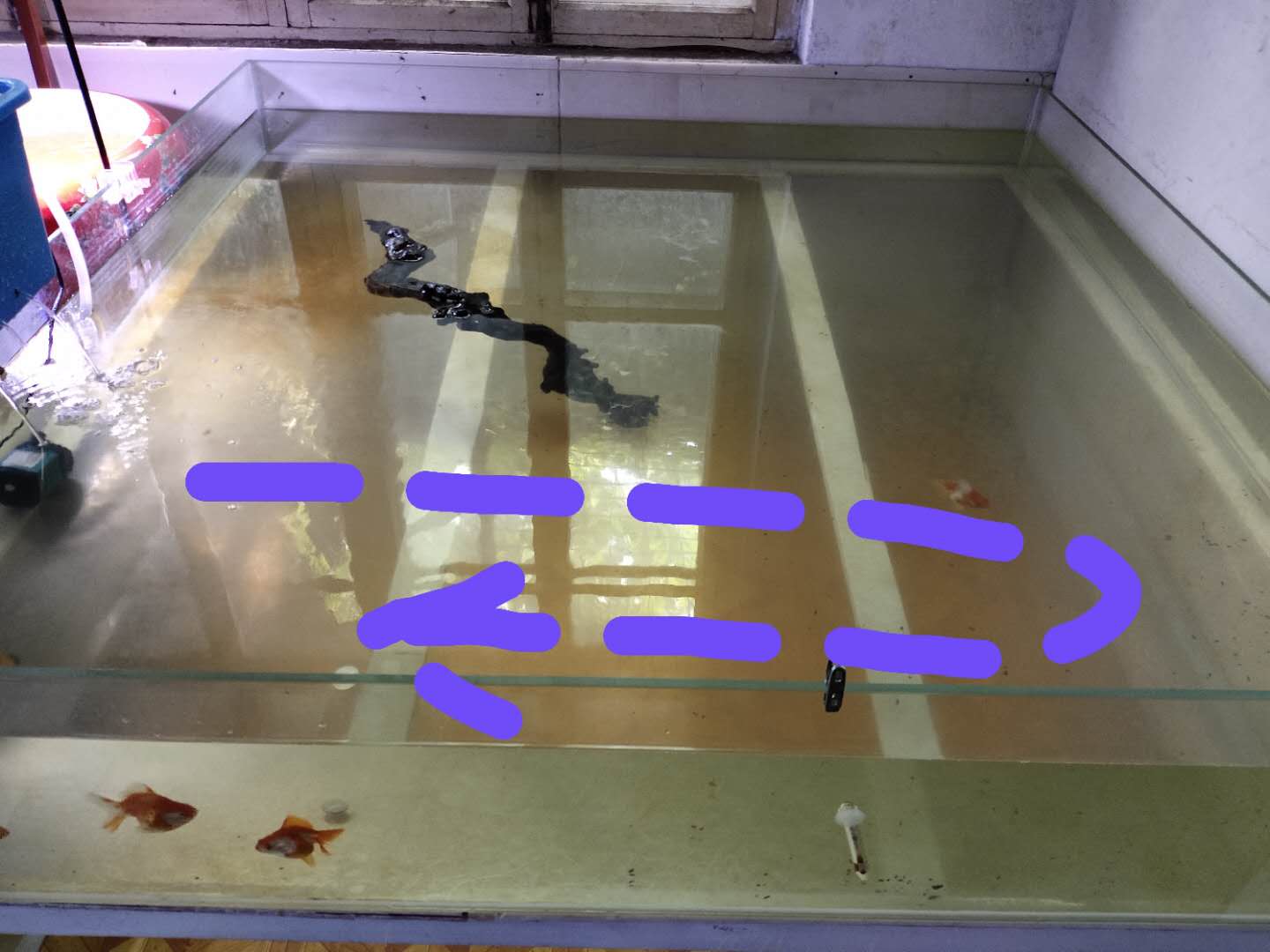 自制金鱼缸过滤器 ，效果需要检测和调试的