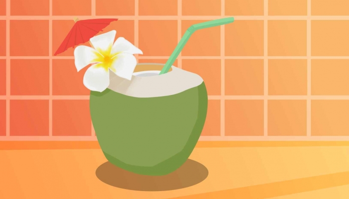 十大椰子汁品牌排行榜 椰子汁十大品牌排行榜