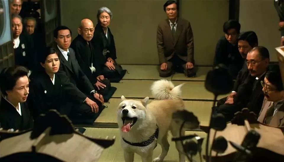 好看的日本电影推荐（推荐这10部日本电影，是无数人心中的最佳！）