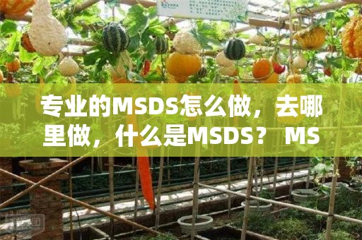 专业的MSDS怎么做，去哪里做，什么是MSDS？ MSDS是什么？
