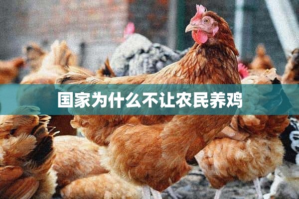 国家为什么不让农民养鸡