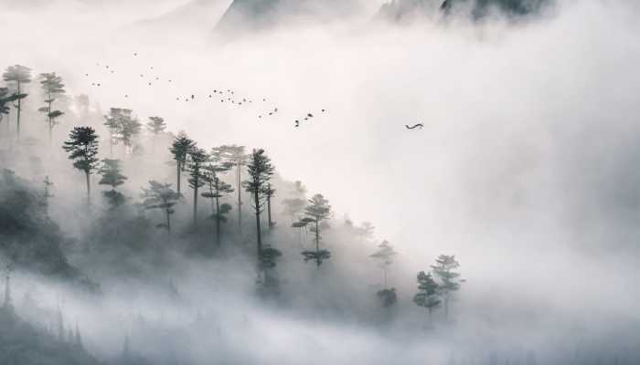 中央气象台已连续10天发布大雾预警 江苏湖北局地将有特强浓雾