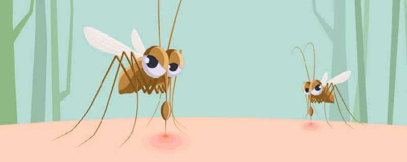 推荐驱除蚊子的方法 消灭蚊子的方法有什么